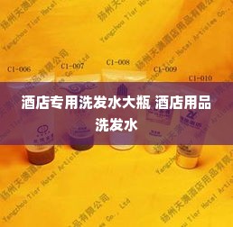 酒店专用洗发水大瓶 酒店用品洗发水