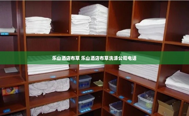 乐山酒店布草 乐山酒店布草洗涤公司电话
