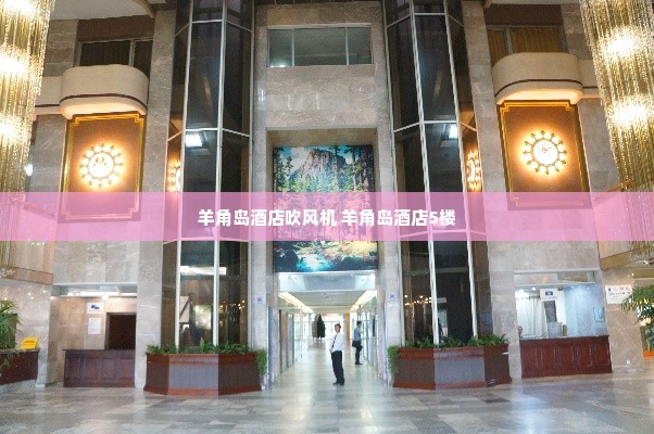 羊角岛酒店吹风机 羊角岛酒店5楼